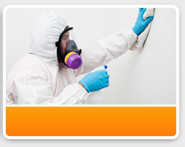 Black mold Removal
