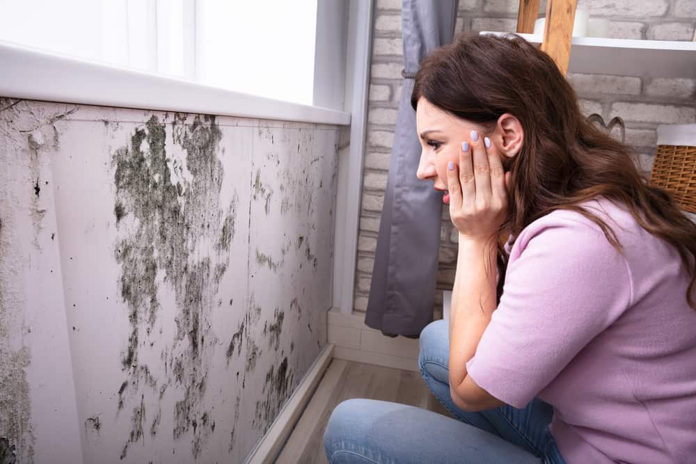 Where Mold Can Hide in Your Home