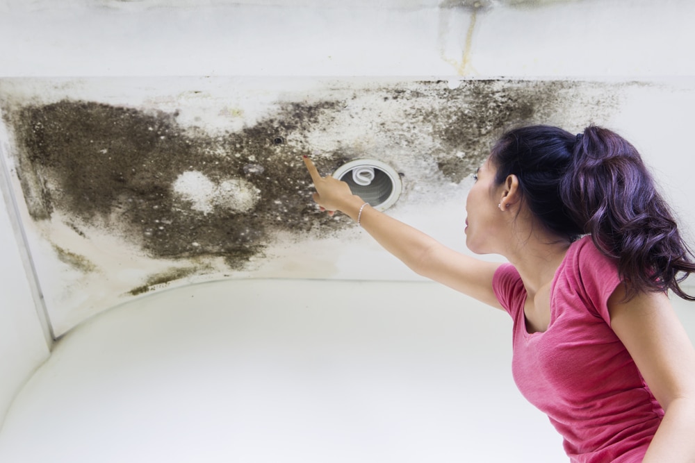 The Dangers of Trying to Remove Mold by Yourself